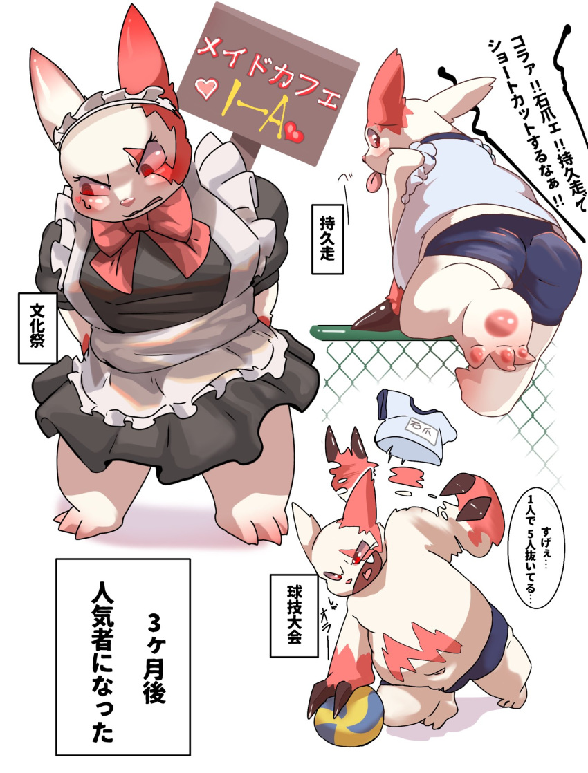 after_transformation anthro belly blush butt claws clothed clothing crossdressing fur generation_3_pokemon gym_clothing hi_res japanese_text maid_uniform male navel nexusthelife nintendo overweight pink_eyes pokemon pokemon_(species) text uniform white_body white_fur zangoose