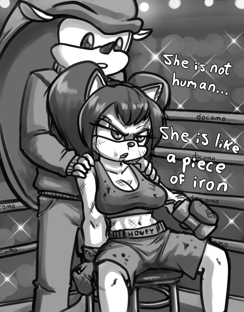 absurd_res anthro armadillo blood bodily_fluids bottomwear boxers_(clothing) boxing boxing_gloves breasts bruised clothed clothing dialogue domestic_cat duo felid feline felis female fighting_ring glare gloves grabbing_shoulders handwear hi_res honey_the_cat male male/female mammal mighty_the_armadillo monochrome oni_senpai_art sega sonic_the_fighters sonic_the_hedgehog_(series) sport text underwear wounded xenarthran