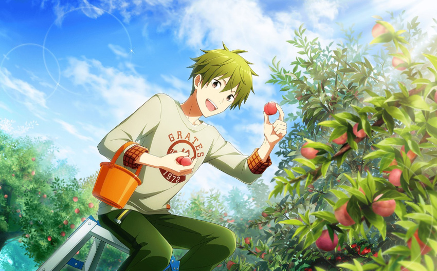 1boy akiyama_hayato blue_sky bucket fingernails food fruit green_hair green_pants hair_between_eyes highres holding holding_food holding_fruit idolmaster idolmaster_side-m idolmaster_side-m_live_on_stage! ladder male_focus official_art pants peach shirt sitting sky teeth upper_teeth_only