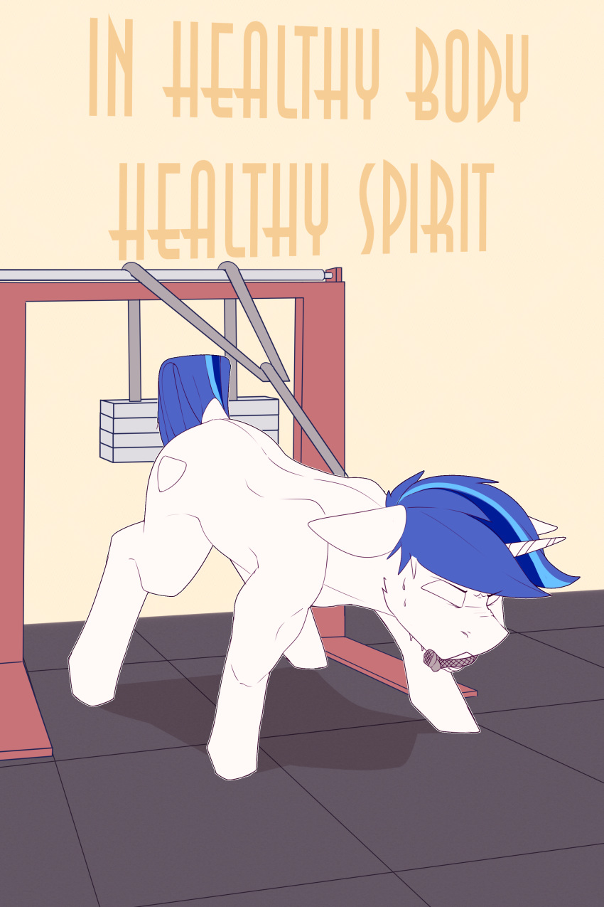 absurd_res chapaevv cutie_mark digital_media_(artwork) exercise feral friendship_is_magic gym hasbro hi_res male my_little_pony shining_armor_(mlp) solo solo_focus text weights workout