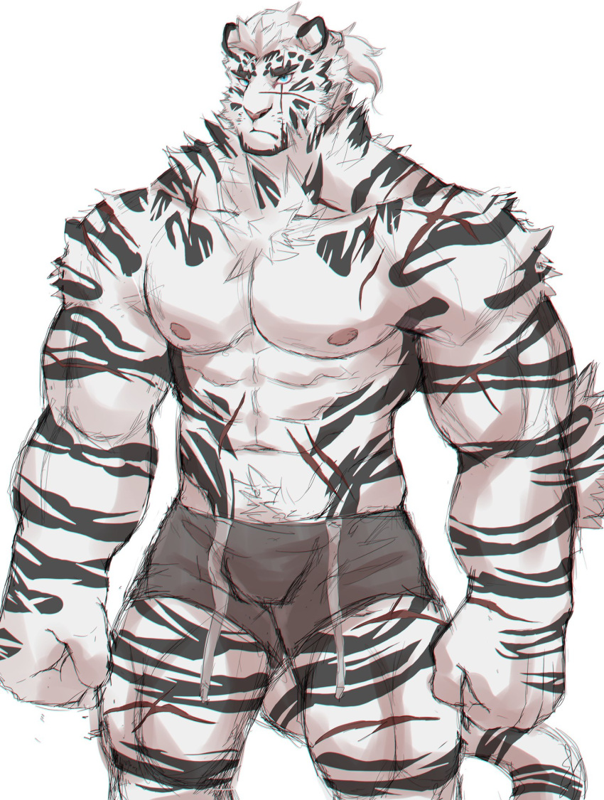 1boy abs animal_ears arknights artist_request bara boxer_briefs facial_hair feet_out_of_frame frown furry furry_male goatee grey_male_underwear high_ponytail highres large_hands large_pectorals looking_to_the_side male_focus male_underwear mountain_(arknights) muscular muscular_male navel_hair nipples official_alternate_hairstyle pectorals scar scar_across_eye scar_on_arm short_hair sketch solo standing stomach thick_eyebrows thighs tiger_boy tiger_ears topless_male underwear white_hair