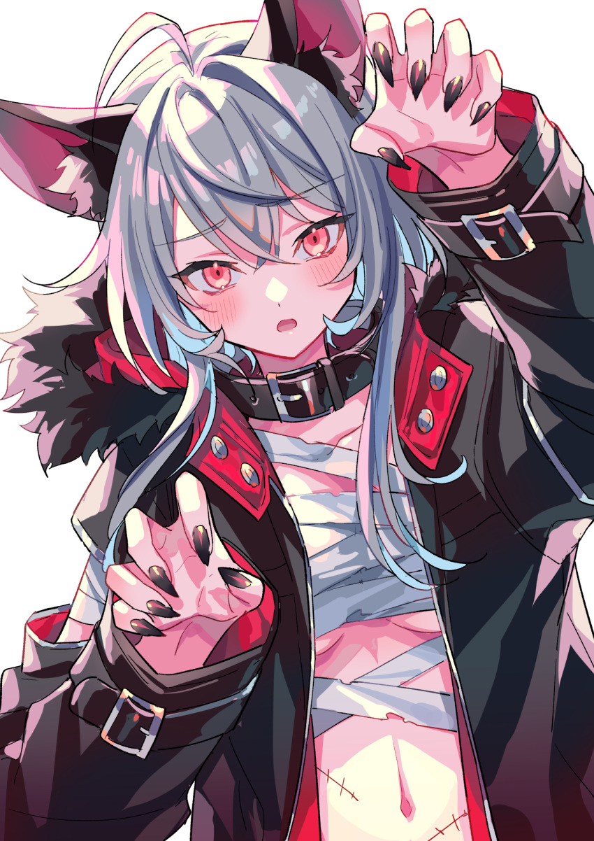 1girl ahoge animal_ear_fluff animal_ears black_collar black_jacket black_nails blush breasts budget_sarashi chest_sarashi claw_pose collar commentary fingernails fur-trimmed_jacket fur_trim grey_hair hair_between_eyes halloween hand_up highres jacket long_fingernails long_hair long_sleeves looking_at_viewer navel open_clothes open_jacket open_mouth orange_eyes original sarashi sharp_fingernails sidelocks simple_background small_breasts solo standing stitched_torso stitches stomach suzaku_(zaku6584) underboob upper_body white_background wolf_ears