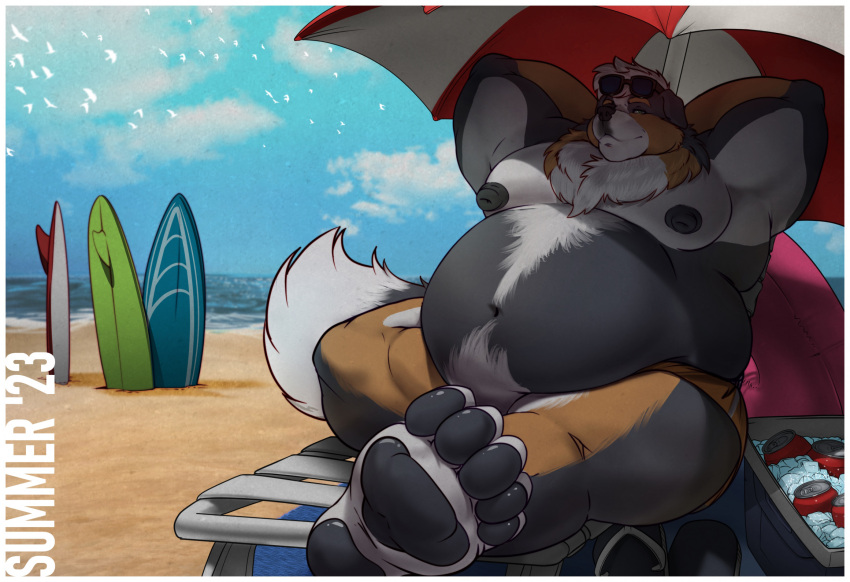 anthro beach beach_chair beach_umbrella canid canine canis clothing cobaltgrande cooler domestic_dog eyewear fit_to_fat hands_behind_back hi_res male male/male mammal mountain_dog overweight overweight_anthro overweight_male seaside solo sunglasses surfboard swimming_trunks swimwear thesammon_(fox) weight_gain weight_gain_kink