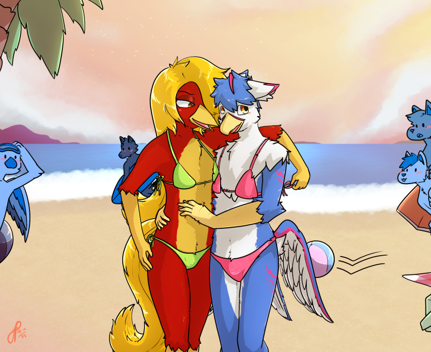 anthro avian beach beak being_watched bikini bird chrysolophus clothed clothing crossdressing feathers fridaylugia galliform glori_gamebird golden_pheasant gryphon hair hi_res long_hair long_tail looking_at_another mythological_avian mythology nero_(fridaylugia) phasianid red_body red_feathers seaside swimwear tail yellow_beak yellow_body yellow_feathers