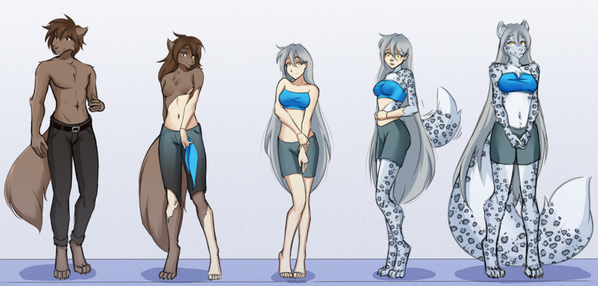 anthro brown_body brown_fur brown_hair canid canine canis clothing duo felid female fur gender_transformation hair human humanoid hybrid male mammal mtf_transformation narikusha pantherine raine_silverlock shirtless_anthro shirtless_male smile snow_leopard standing transformation twokinds webcomic webcomic_character white_hair wolf yellow_sclera zen_(twokinds)