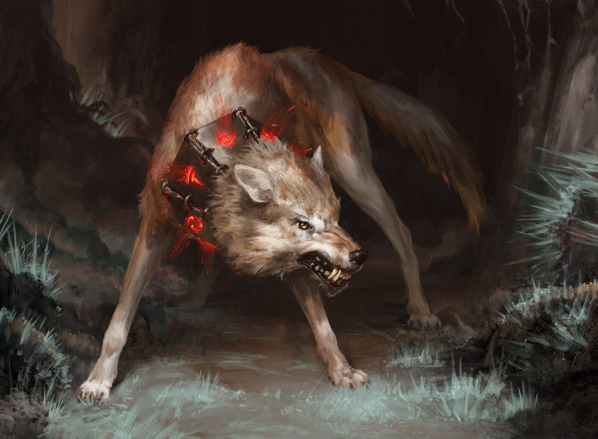 canid canine canis collar detailed_background feral fur grass hasbro magic:_the_gathering male mammal official_art plant quadruped runes solo standing tail teeth tomas_duchek wizards_of_the_coast wolf