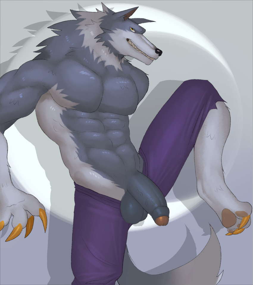 2023 abs absurd_res anthro balls biceps black_nose bottomwear canid canine capcom clothed clothing darkstalkers digital_media_(artwork) fleshformomo foreskin fur genitals glans grey_body grey_fur half-erect hi_res humanoid_genitalia humanoid_penis jon_talbain male mammal muscular muscular_anthro muscular_male navel pants partially_retracted_foreskin pecs penis smile solo tail teeth topless vein veiny_penis were werecanid werecanine werewolf