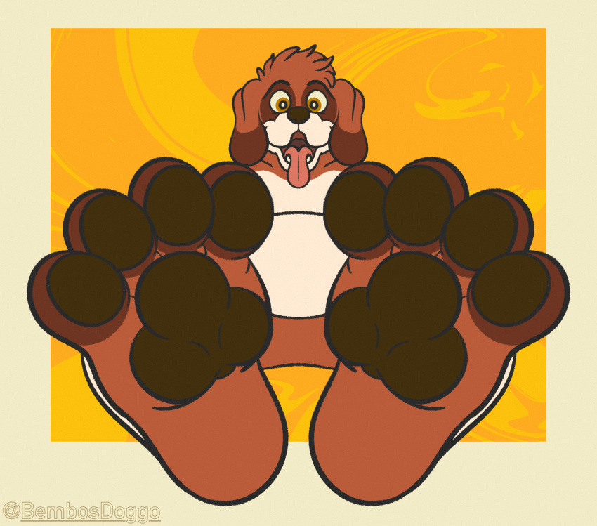 anthro bappy_(bembosdoggo) belly bembosdoggo brown_pawpads canid canine canis domestic_dog feet floppy_ears foot_fetish foot_focus happy hi_res humanoid looking_at_viewer male mammal molosser mountain_dog nude nude_anthro open_mouth pawpads paws saint_bernard slightly_chubby smile solo toes tongue