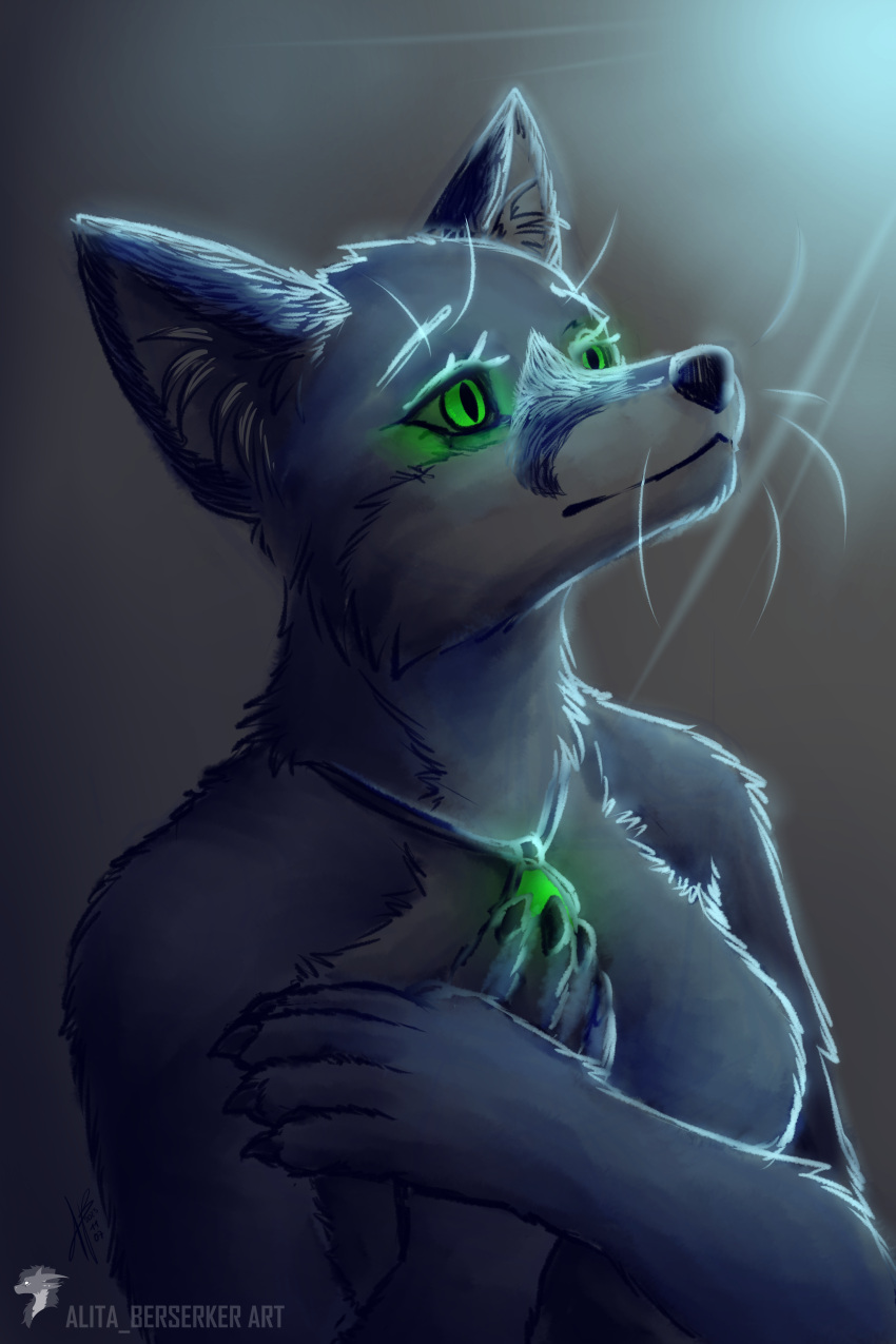 absurd_res alita_berserker anthro canid canine claws emerald_(gem) female fox gem glowing glowing_eyes glowing_object green_eyes hi_res light magic_user mammal medieval melancholic moonlight night nude pendant portrait_(object) silva_vernalis sketch solo witch