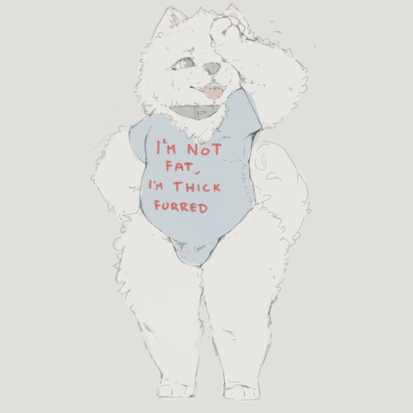 anthro bodily_fluids bulge canid canine canis chubby_belly circa clothing collar domestic_dog fluffy fluffy_tail fur furgonomics hand_on_hip hi_res male mammal neck_tuft nordic_sled_dog open_mouth overweight overweight_anthro overweight_male saliva samoyed solo spitz sweat tail text text_on_clothing thick_thighs tongue tongue_out tuft white_body white_fur wiping_forehead