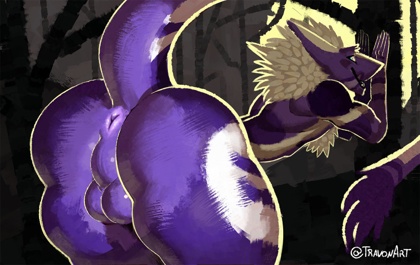 2022 anthro anus artist_name backsack balls bent_over butt butt_focus digital_media_(artwork) digital_painting_(artwork) fur fur_markings genitals grin looking_at_viewer looking_back male mane markings perineum presenting presenting_anus presenting_hindquarters purple_anus purple_balls purple_body purple_fur raised_tail sergal smile solo tail tail_tuft travon tuft white_mane white_markings y_anus