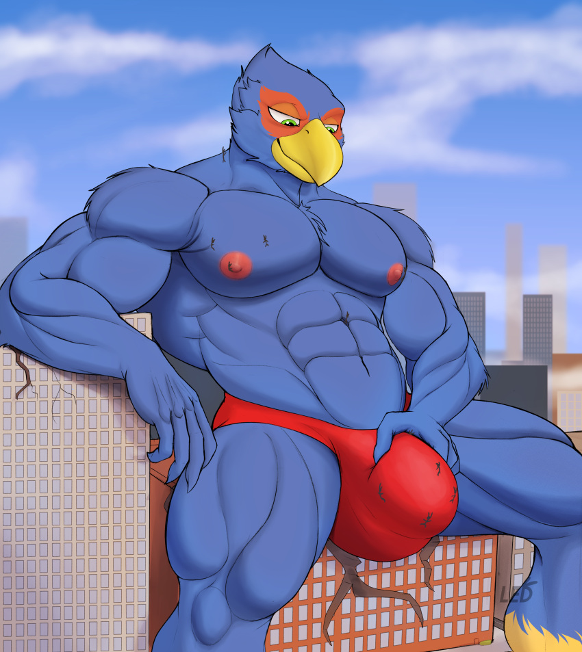 absurd_res anthro avian beak bird blue_body building bulge bulge_grab city clothing detailed_bulge falco_lombardi hi_res led_owo macro male muscular muscular_male nintendo sitting speedo star_fox swimwear worship