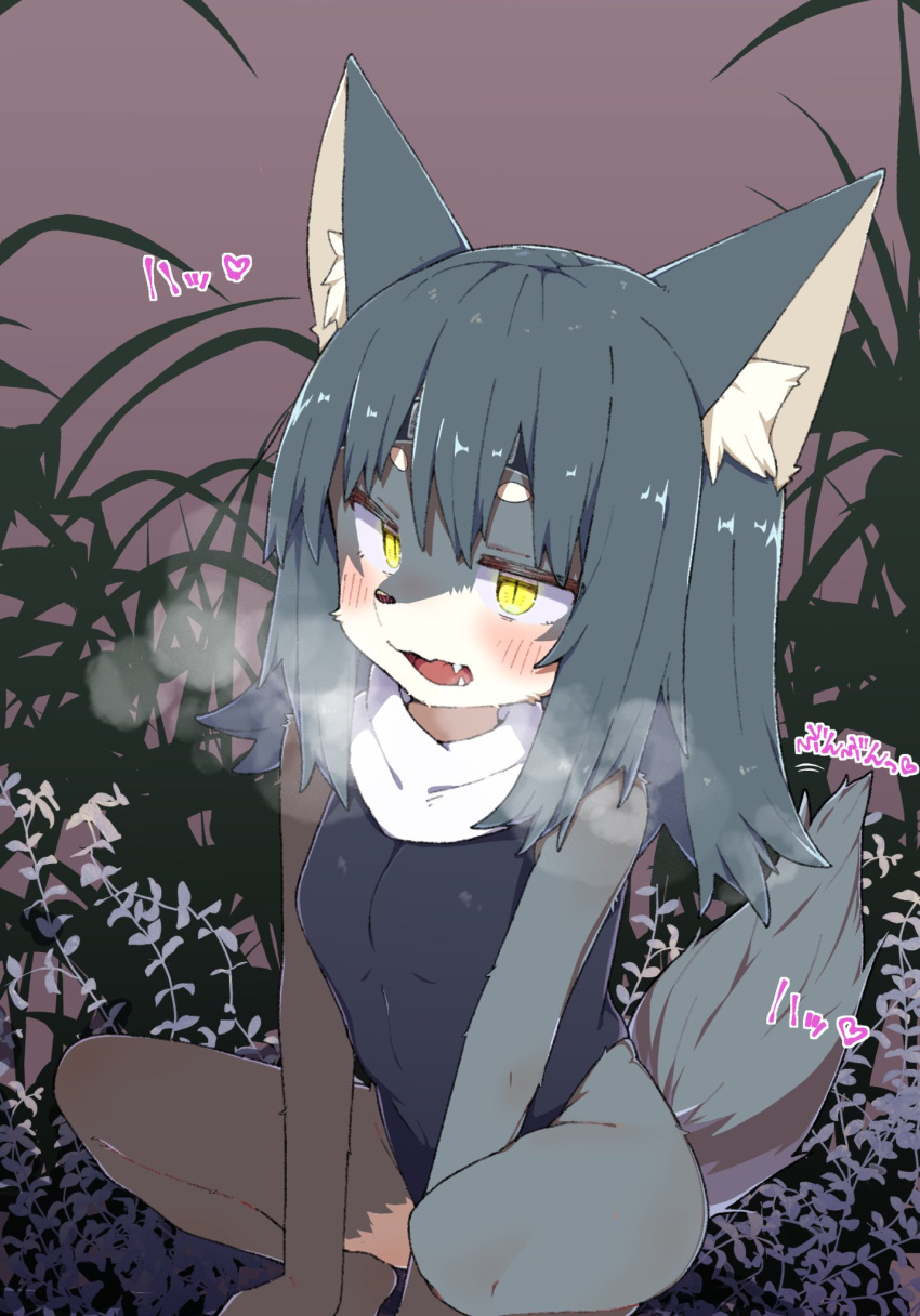 &lt;3 2023 anthro asian_clothing blush breasts breath canid canine canis clothed clothing countershading crouching cute_fangs digital_media_(artwork) domestic_dog east_asian_clothing fangs female female_anthro flat_colors fur grey_body grey_fur grey_hair hair hi_res inner_ear_fluff japanese_clothing japanese_text kemono long_hair mammal multicolored_body multicolored_fur one-piece_swimsuit onomatopoeia open_mouth osakanafestibal pupils school_swimsuit slit_pupils small_breasts solo sound_effects swimwear tail tail_motion tailwag teeth text tongue translated_description translation_request tuft two_tone_body two_tone_fur white_body white_fur yellow_eyes young