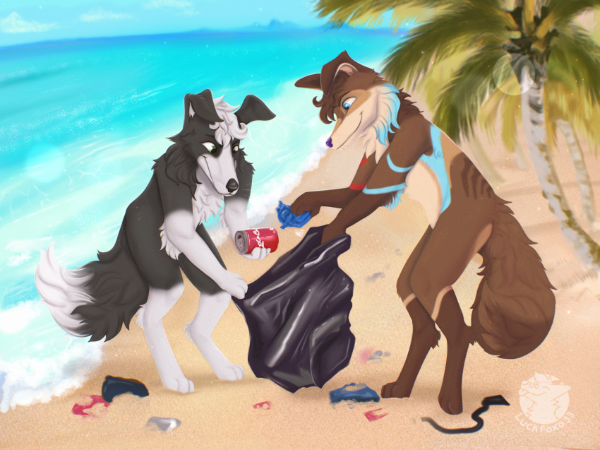 beach canid canine canis cleaning collie day domestic_dog duo duo_focus earth_day group helping herding_dog hi_res luckfoxo33 male mammal palm_tree pastoral_dog plant sand sea seaside sheepdog summer trash trash_bag tree water