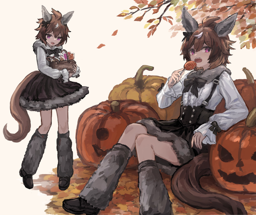 1girl absurdres ahoge animal_ears autumn_leaves basket black_bow black_footwear bow buttons candy commentary_request double-breasted dress ear_bow ear_covers falling_leaves food foot_out_of_frame full_body fur-trimmed_dress fur-trimmed_leg_warmers fur_trim highres holding holding_basket holding_candy holding_food holding_lollipop horse_ears horse_girl horse_tail jack-o'-lantern leaf leg_warmers loafers lollipop long_sleeves multicolored_hair multiple_views on_ground open_mouth pumpkin rokojii sharp_teeth shinko_windy_(umamusume) shoes simple_background sitting streaked_hair tail teeth umamusume white_background white_hair