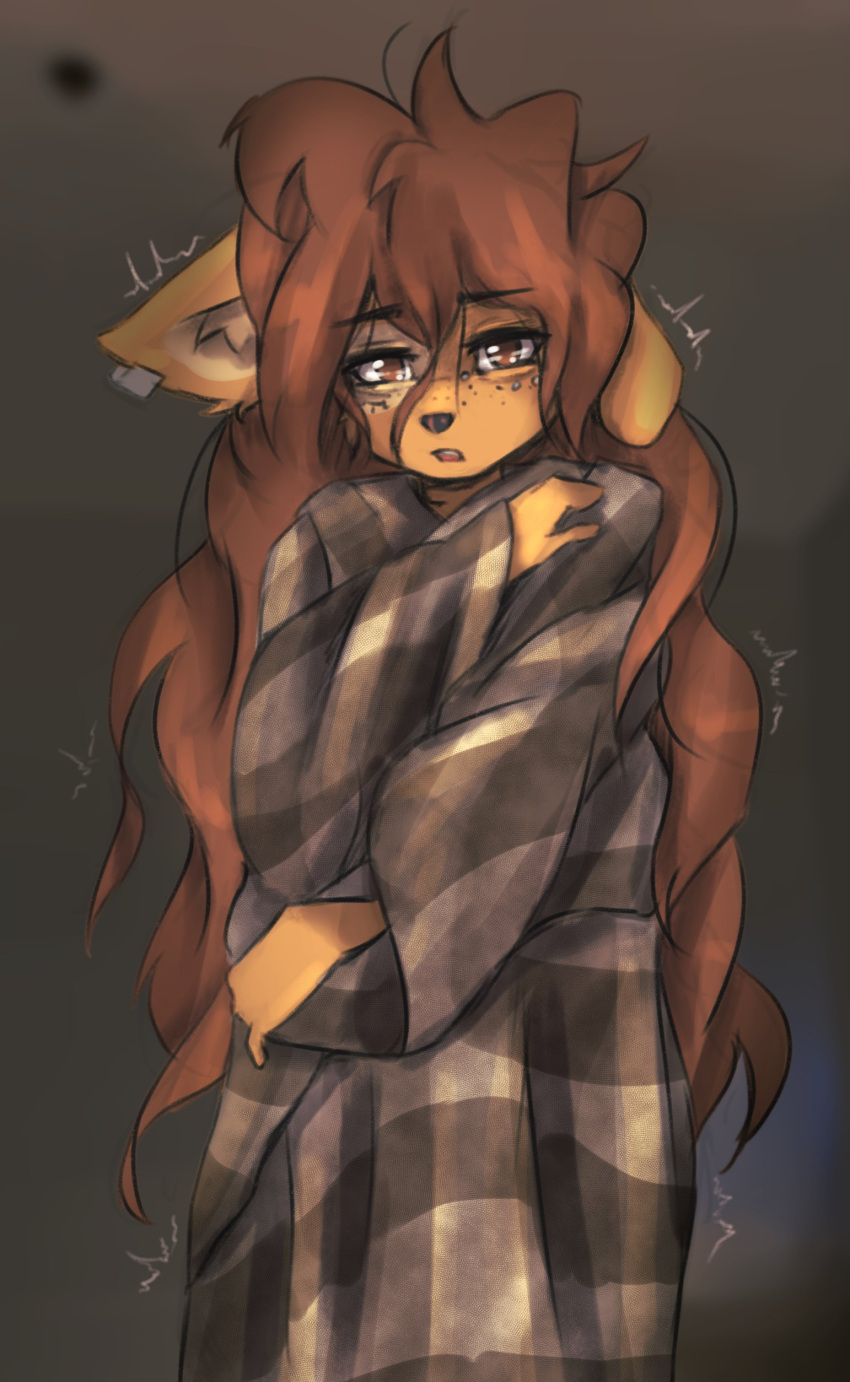 2023 absurd_res anthro apogee bedding blanket canid canine canis cold digital_media_(artwork) domestic_dog female female_anthro floppy_ears fur hair hi_res kemono long_hair looking_at_viewer mammal piercing shaking shivering solo spitz tattoo tinygaypirate