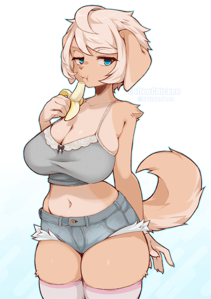 2023 5_fingers anthro artist_name banana big_breasts blonde_hair blue_eyes bottomwear breasts canid canine canis cleavage clothed clothing coffeechicken cutoffs denim denim_clothing domestic_dog eating eating_food female fingers food fruit gradient_background hair hi_res holding_banana holding_food holding_fruit holding_object legwear looking_at_viewer mammal midriff navel plant short_hair shorts simple_background solo tail topwear vao_(coffeechicken)
