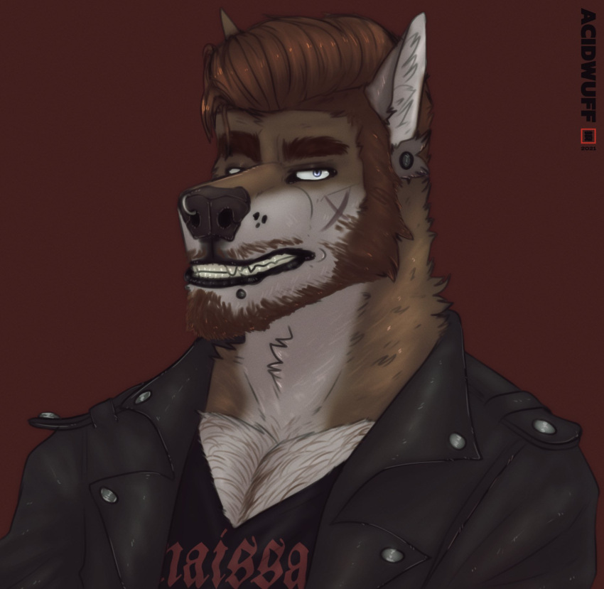 2021 acidwuff anthro artist_name beard black_clothing black_topwear blue_eyes brown_beard brown_body brown_fur brown_hair bust_portrait canid clothed clothing dated ear_piercing facial_hair facial_piercing fur gauged_ear hair hi_res lip_piercing lip_stud looking_at_viewer male mammal multiple_piercings nose_piercing nose_ring nostril_ring piercing portrait red_background ring_piercing simple_background solo topwear white_body white_fur