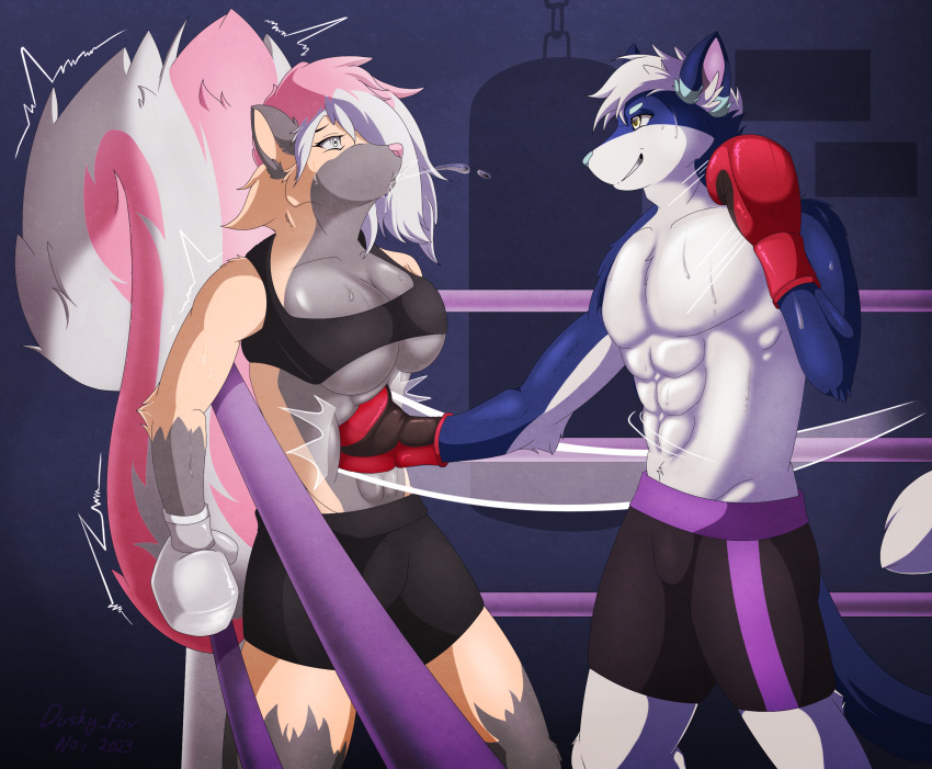 abs anthro belly_punching bodily_fluids boxing_gloves breasts canid canine canis cleavage clothed clothing duo dusky_fox female fighting_ring handwear hi_res male male/female mammal mephitid punch skunk sweat wolf