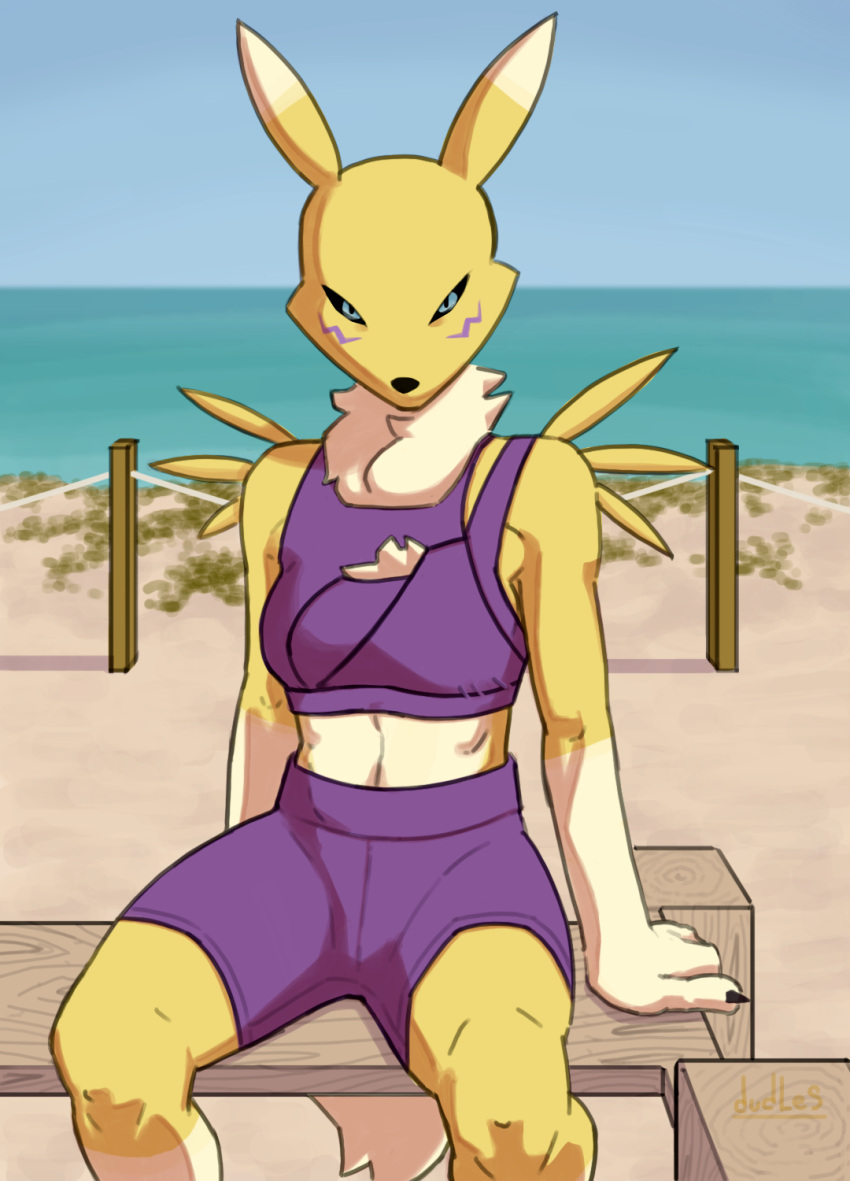 2023 anthro artist_name bandai_namco beach bench black_claws black_nose black_sclera blue_eyes bottomwear canid canine canis cheek_tuft chest_fur chest_tuft clawed_fingers claws clear_sky clothed clothing day digimon digimon_(species) dudles facial_markings facial_tuft female fence fluffy fluffy_chest fox fur hand_on_bench head_markings hi_res long_tail looking_at_viewer mammal markings multicolored_body multicolored_fur muscular muscular_anthro muscular_female plant purple_bottomwear purple_clothing purple_markings purple_shirt purple_shorts purple_topwear renamon rope sand seaside shirt shorts shrub sitting sitting_on_bench sky solo solo_focus tail topwear tuft water white_body white_fur wood wood_pole workout_clothing yellow_body yellow_fur
