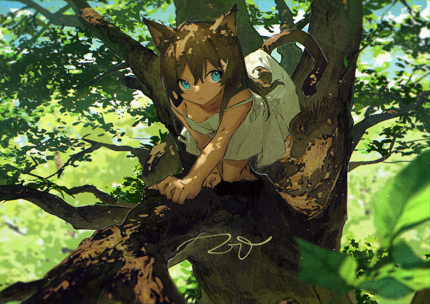 1girl all_fours animal_ear_fluff animal_ears blue_eyes brown_hair cat_ears cat_girl cat_tail dress in_tree leaf long_hair looking_at_viewer nature original potg_(piotegu) sleeveless sleeveless_dress strap_slip sundress tail tree tree_shade white_dress