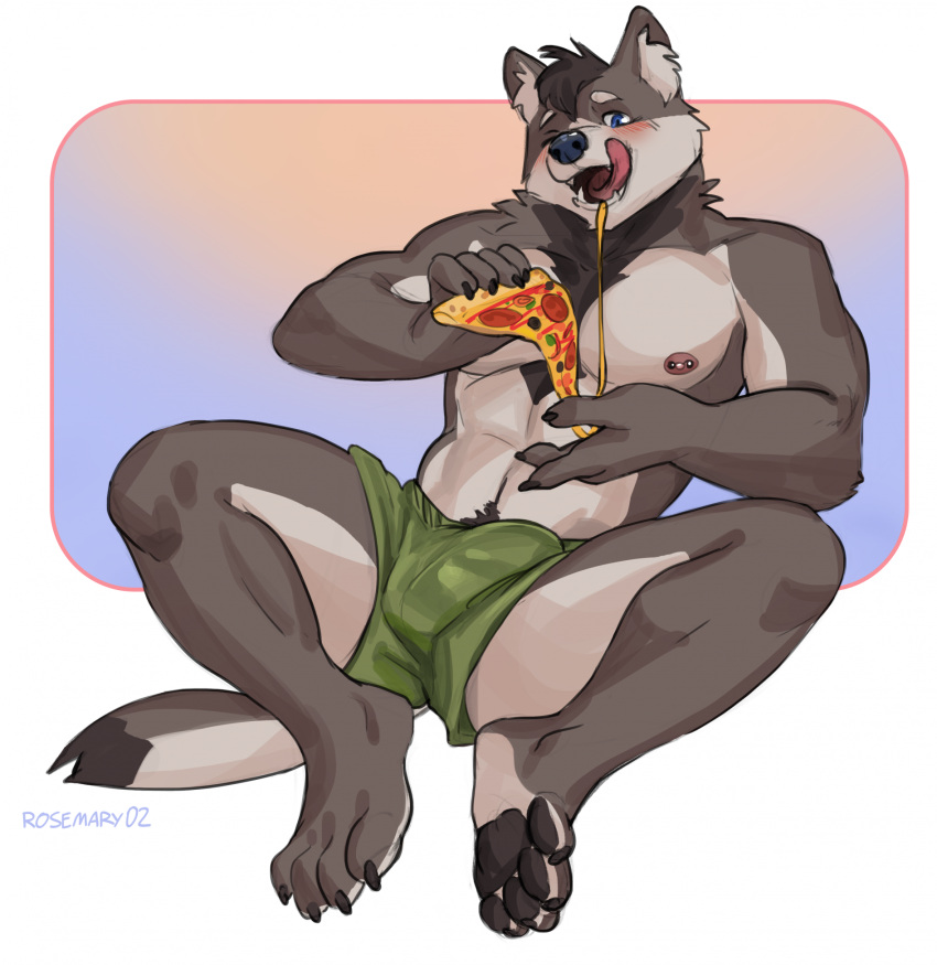 anthro bottomwear brown_body brown_fur bulge canid canine canis clothing domestic_dog eating eating_food eating_pizza food fur green_bottomwear green_clothing green_pants hi_res male mammal nipple_piercing nipples panties pants pawpads paws piercing pizza pizza_slice rosemary02 solo underwear white_body white_fur