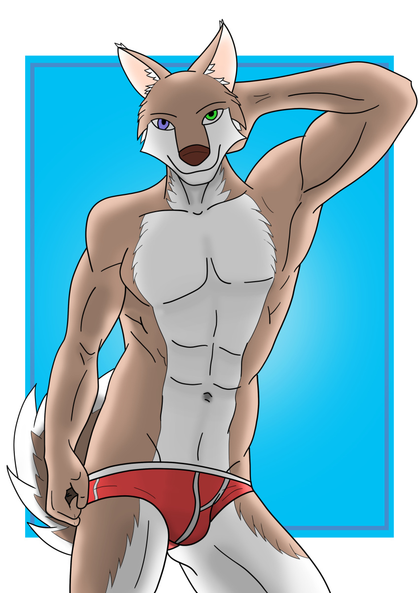 abs absurd_res anthro bulge canid canine canis clothed clothing fur heterochromia hi_res looking_at_viewer male mammal muscular muscular_anthro muscular_male simple_background solo underwear white_body white_fur wolf xzenonart