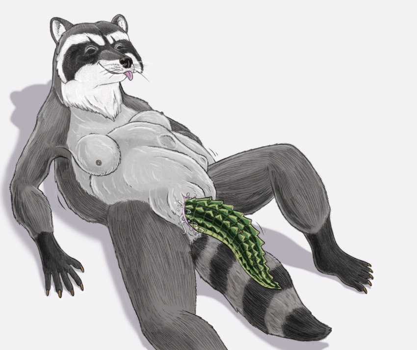 2016 abdominal_bulge alligator alligatorid ambiguous_gender ambiguous_prey anthro anthro_pred black_body black_fur bloated bodily_fluids body_in_pussy body_outline breasts cast_shadow crocodilian duo eyes_closed female female/ambiguous female_pred feral feral_prey fur furry_tail genital_fluids genitals green_body green_scales grey_body grey_fur looking_pleasured lying mammal markings motion_outline multicolored_body multicolored_fur nipples nude on_back partially_inside procyonid pussy pussy_juice raccoon reptile scales scalie scaly_tail simple_background small_breasts strega striped_markings striped_tail stripes tail tail_markings tongue tongue_out two_tone_body two_tone_fur unbirthing vaginal vore whiskers white_background