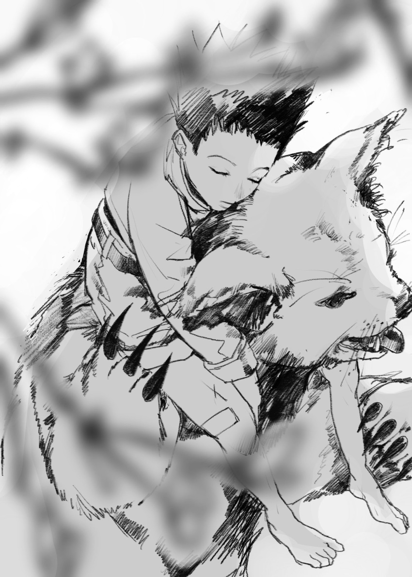 1boy almostghost animal bandaid bandaid_on_leg barefoot closed_eyes from_above full_body gon_freecss highres hunter_x_hunter jacket kon_(hunter_x_hunter) leaning_on_animal long_sleeves male_child male_focus monochrome outdoors shorts sleeping spiked_hair