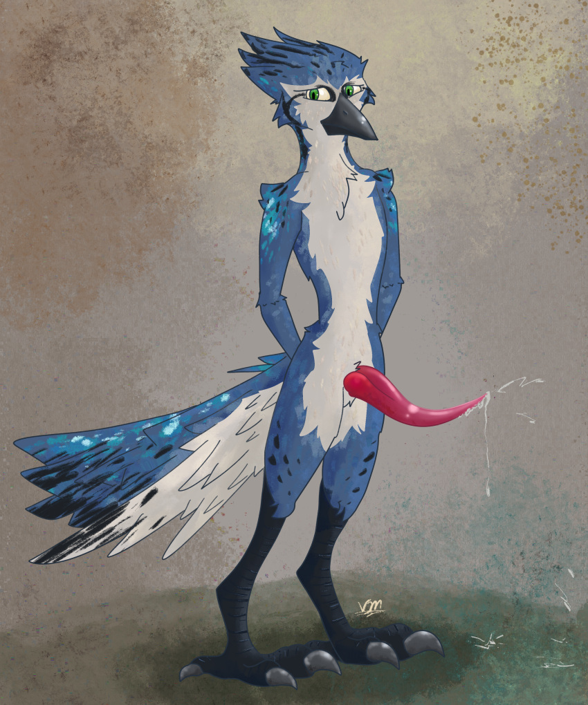 absurd_res anatomically_correct anatomically_correct_genitalia anthro avian avian_feet avian_penis beak big_penis bird blue_jay bodily_fluids claws corvid corvidae coy dripping feathers feet genital_fluids genitals green_eyes hands_behind_back hi_res jay_(bird) leaking_precum looking_away male new_world_jay oscine passerine penis precum precum_drip precum_on_ground precum_on_penis precum_string shy solo tail_feathers tapering_penis toe_claws toes vike_mike wingless_avian