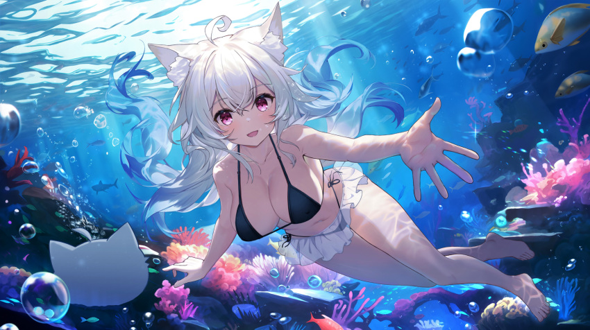 1girl animal_ears barefoot bikini bikini_skirt black_bikini blue_hair breasts bubble cleavage coral fish fox_ears fox_tail gradient_hair highres large_breasts long_hair looking_at_viewer multicolored_hair navel ocean otter_paw_(otter696969) pink_eyes see-through see-through_skirt skirt submerged swimsuit tail virtual_youtuber white_hair