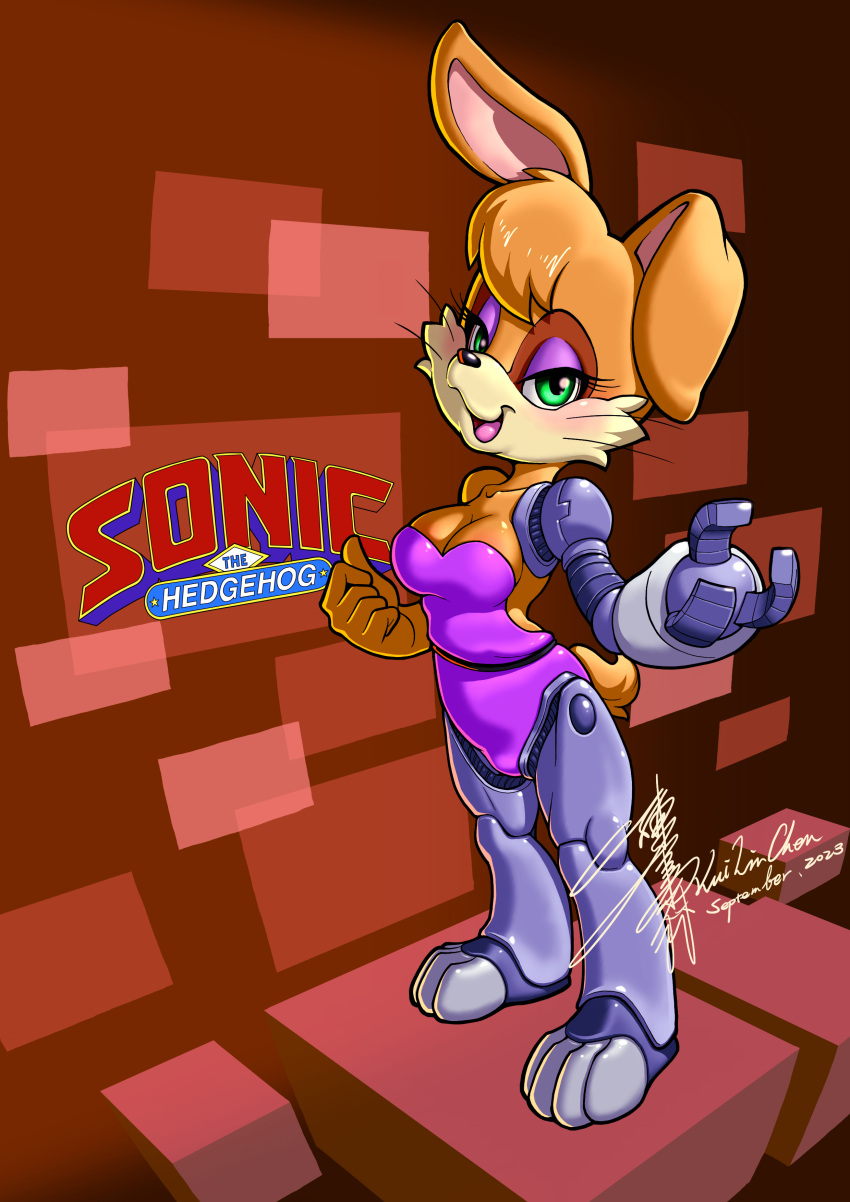 absurd_res anthro female hi_res kui_lin_chen lagomorph leporid mammal rabbit rodent sega solo sonic_the_hedgehog_(series)