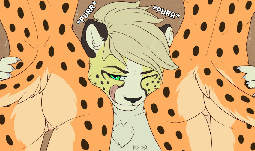 2023 5_fingers acino acino_(artist) alexandra_(velocitycat) anthro anthro_on_anthro balls barely_visible_balls barely_visible_genitalia barely_visible_penis bisexual black_nose black_spots blinking blonde_hair brother brother_and_sister butt cheetah chest_tuft claws digital_media_(artwork) faceless_character felid feline female finger_claws fingers fur genitals green_eyes group hair licking licking_lips looking_at_viewer male male/female male/male mammal multicolored_body multicolored_fur nude one_eye_closed penis purring pussy sibling signature sister smile spots spotted_body spotted_fur tongue tongue_out trio tuft twins two_tone_body two_tone_fur white_body white_fur yellow_body yellow_fur zachariah_(velocitycat)