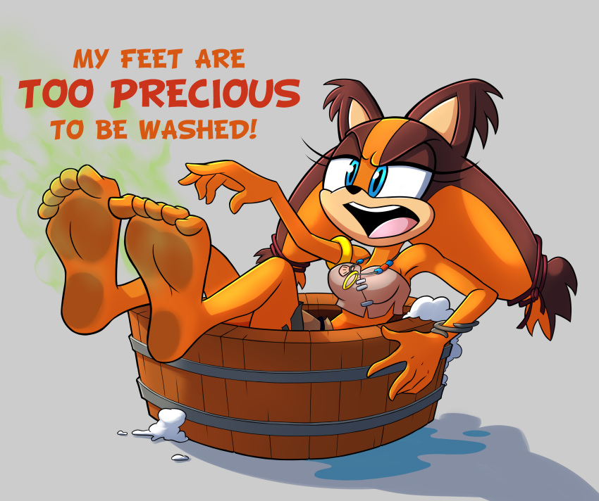 absurd_res anthro badger barefoot feet female foot_focus hi_res humanoid_feet mammal mustelid musteline plantigrade sega smelly smelly_feet soles solo sonic_boom sonic_the_hedgehog_(series) sticks_the_jungle_badger toes wigmania
