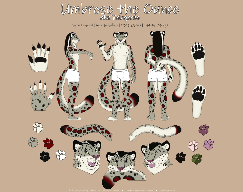 absurd_res bite biting_own_tail censored clothing felid hi_res male mammal model_sheet palehorntea pantherine paws snow_leopard solo tail tail_bite tail_in_mouth umbrose underwear