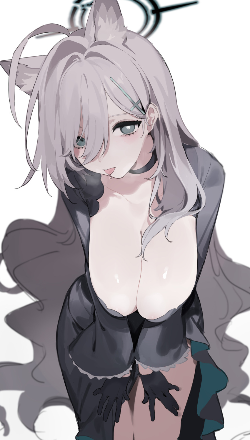 1girl absurdres ahoge animal_ear_fluff animal_ears black_choker black_gloves blue_archive breasts choker cleavage collarbone cross_hair_ornament gloves grey_eyes grey_hair hair_between_eyes hair_ornament halo hands_on_own_thighs highres large_breasts long_hair looking_at_viewer saliva sh_(562835932) shiroko_(blue_archive) shiroko_(terror)_(blue_archive) simple_background solo thighs tongue tongue_out white_background