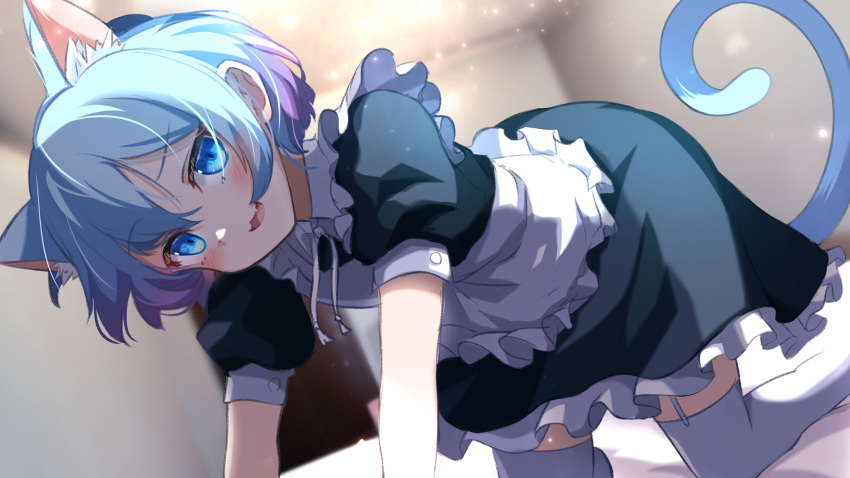1other :3 :d absurdres all_fours animal_ears apron black_dress blue_eyes blue_hair cat_ears cat_tail character_request copyright_request dress extra_ears fang frilled_dress frills garter_straps gradient_hair highres maid maid_apron multicolored_hair otoko_no_ko puffy_short_sleeves puffy_sleeves purple_hair shiro_1213 short_hair short_sleeves skin_fang smile tail thighhighs white_thighhighs