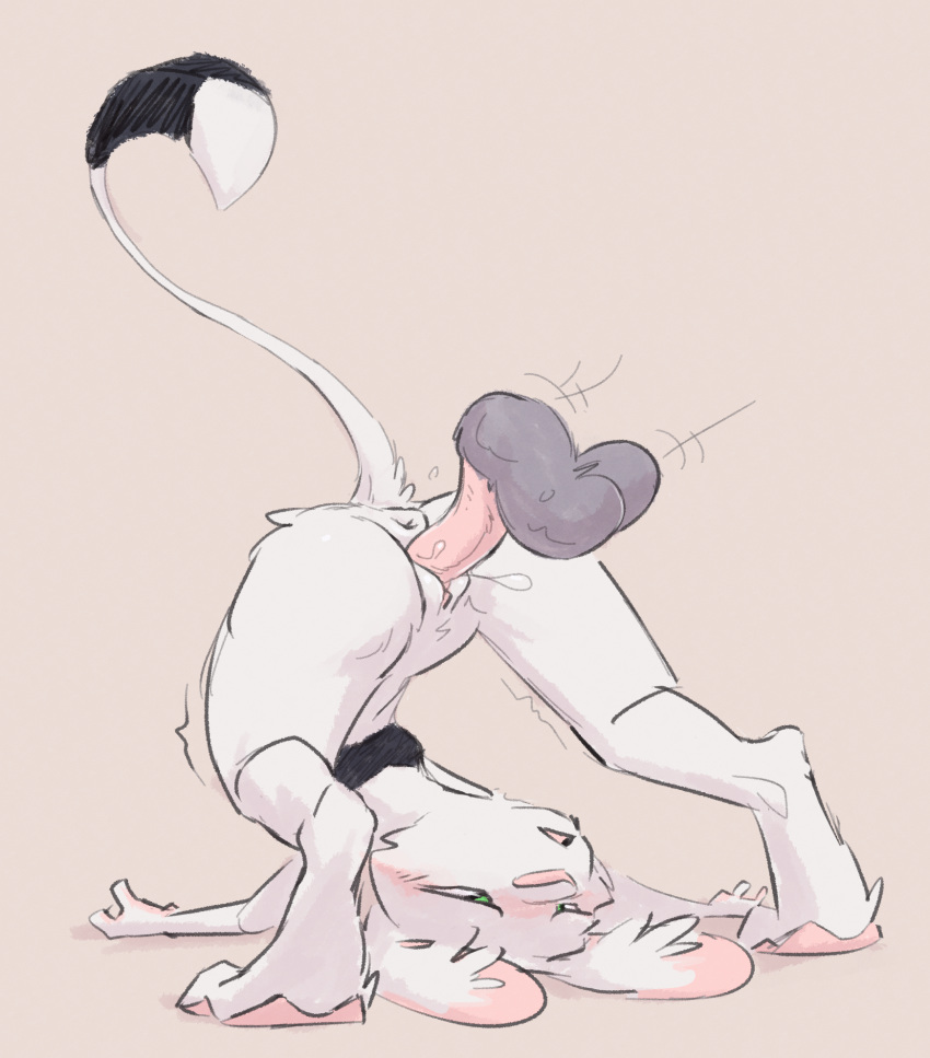animancer anus blush contortionism dipodid female flexible floating_dick from_behind_(disambiguation) hi_res jerboa luck_(animancer) male male/female mammal rodent sketch upside_down
