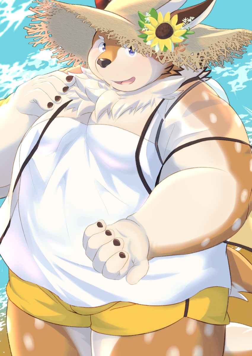 anthro beach belly blue_eyes bottomwear brown_body brown_fur clothing deer flower fur hat headgear headwear hi_res kazusa male mammal moobs nazebesu_hobby overweight plant sea seaside shorts solo spots spotted_body spotted_fur straw_hat sunflower tamacolle water