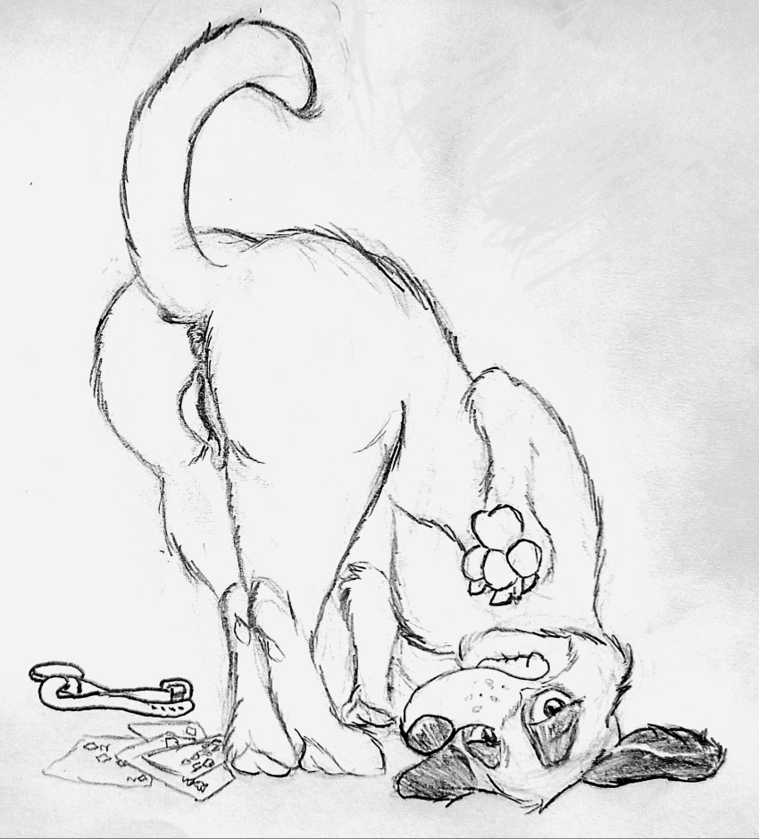 anus ass_up bedroom_eyes bite biting_lip canid canine canis card claws clothing collar domestic_dog dtcg female feral genitals hi_res looking_at_viewer mammal markings martha_lorraine martha_speaks mixed_breed monochrome narrowed_eyes pawpads playing_card presenting pussy raised_tail seductive solo tail teeth traditional_media_(artwork) undressing whisker_markings