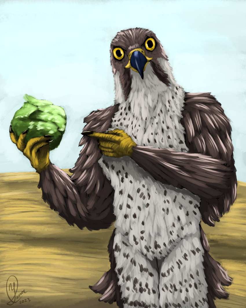 4:5 absurd_res animal_genitalia anthro avian bird birdtember bodily_fluids cloaca cum desert egyptian_falcon falcon falconid feathers food genital_fluids genitals gesture hi_res lettuce male mythology nude plant pointing sand sky solo spots vegetable yellow_eyes yenocwolf