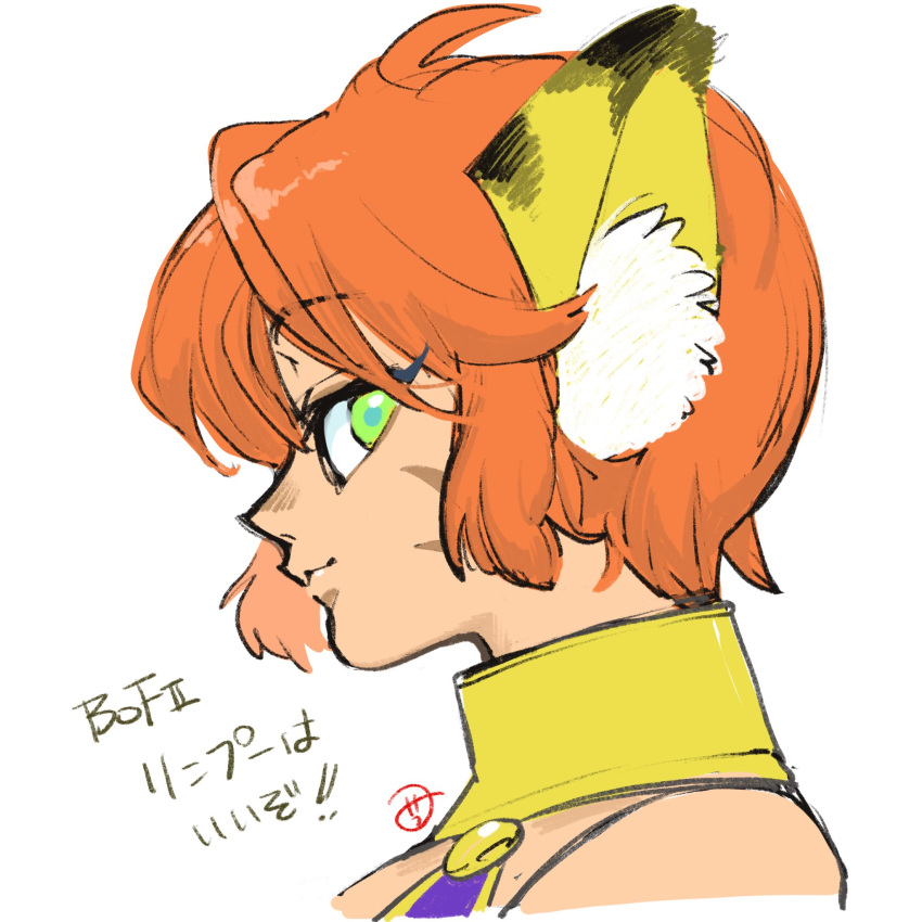 1girl animal_ears anzuni_(marblefrog) breath_of_fire breath_of_fire_ii cat_ears closed_mouth facial_mark green_eyes highres looking_at_viewer orange_hair pointy_ears rinpoo_chuan short_hair simple_background solo white_background