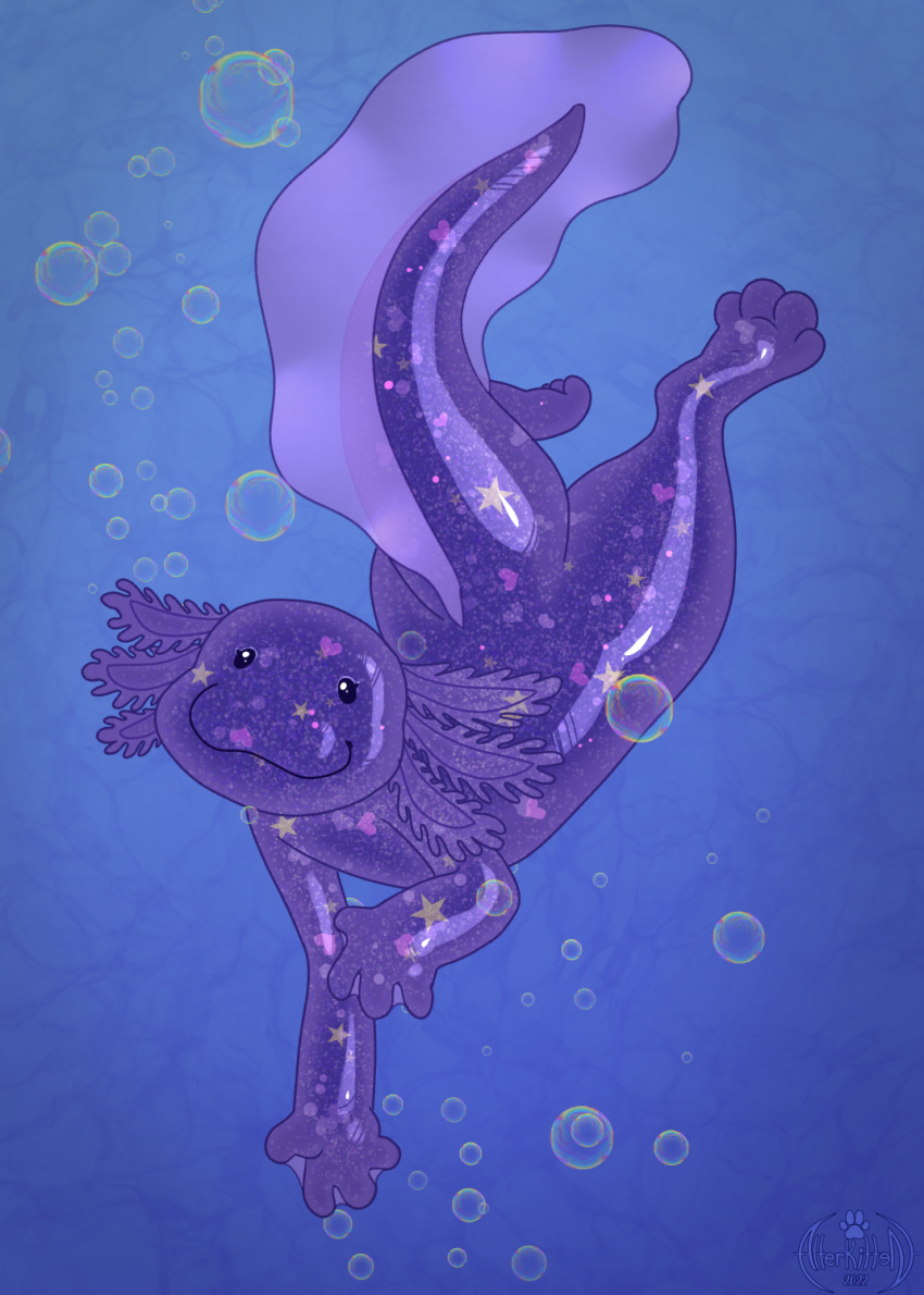 alterkitten ambiguous_gender amphibian axolotl gak_(hibarixanxus) hi_res marine mole_salamander salamander sfw simple_background solo toy translucent translucent_body water