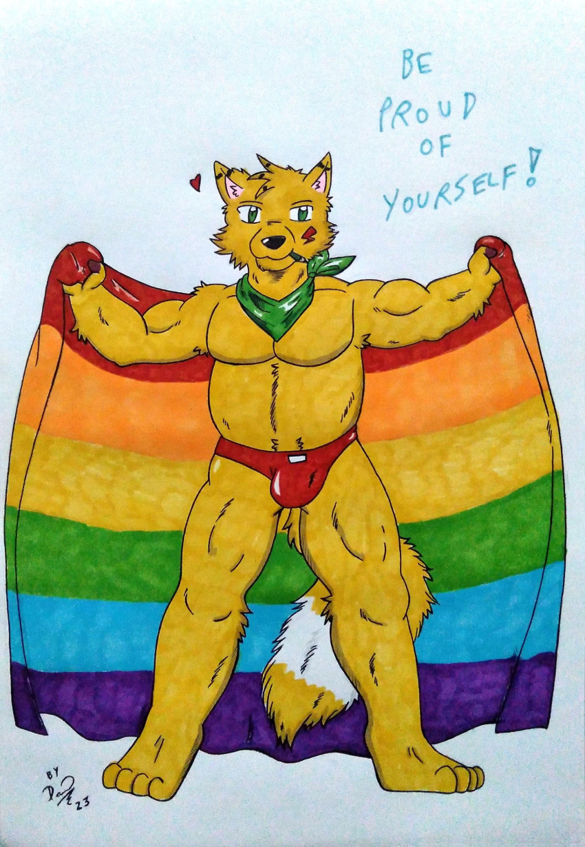 &lt;3 2023 4_toes 5_fingers absurd_res anthro arm_tuft armpit_tuft bandanna bandanna_on_neck bandanna_only barazoku belly biceps big_belly black_nose bulge canid canine clothed clothing dashfox dashthefox feet fingers flag flag_(object) fluffy fluffy_tail fox fur green_bandanna green_eyes green_kerchief hi_res holding_flag holding_object huge_pecs kerchief kerchief_only lgbt_pride male mammal manly markers moobs mostly_nude muscular pecs pencil_(object) pencil_in_mouth pride_color_flag pride_colors proud rainbow rainbow_pride_colors red_clothing red_underwear signature simple_background solo tail toes traditional_media_(artwork) tuft underwear underwear_only white_background yellow_body yellow_fur
