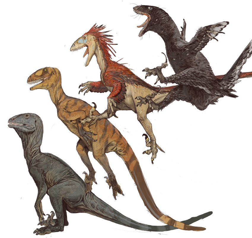 ambiguous_gender claws deinonychus dinosaur dromaeosaurid feathers feral hi_res jumping lineup mossa open_mouth raptor_claws reptile scales scalie simple_background stripes theropod toe_claws tongue tongue_out white_background wings