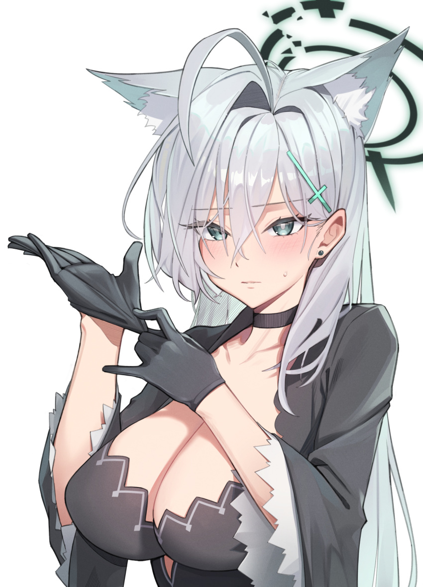 1girl adjusting_clothes adjusting_gloves ahoge animal_ear_fluff animal_ears black_choker black_dress black_gloves black_jacket blue_archive blush breasts choker cleavage collarbone dress earrings gloves grey_hair halo highres jacket jewelry large_breasts looking_at_viewer mismatched_pupils shiroko_(blue_archive) shiroko_terror_(blue_archive) simple_background solo stud_earrings sweatdrop white_background wolf_ears yzr_(yzr99)