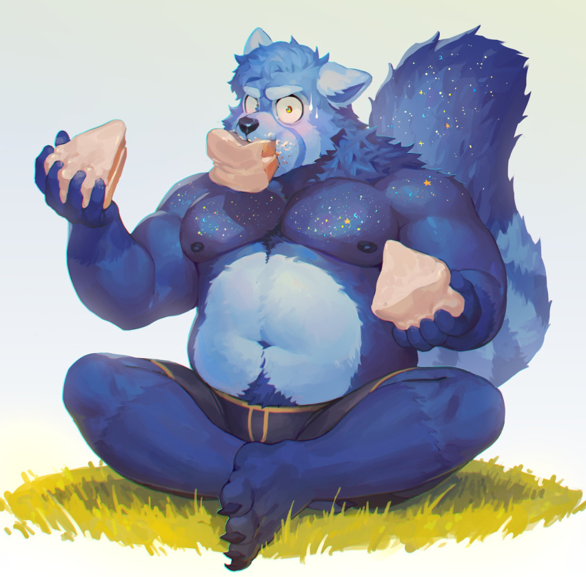 anthro belly black_clothing black_underwear blue_body blue_eyes blue_fur blush bodily_fluids cake clothing crossed_legs dessert eating eating_cake eating_food fluffy fluffy_tail food fur glitter grass heterochromia hi_res holding_cake holding_food holding_object looking_at_viewer male mammal markings musclegut muscular muscular_anthro muscular_male nipples papyuuno pecs plant procyonid raccoon simple_background sitting slice_of_cake slightly_chubby solo striped_markings striped_tail stripes stuffing sweat sweatdrop tail tail_markings underwear white_background wide_eyed yellow_eyes