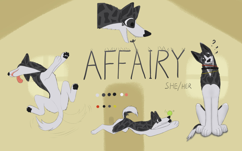 2023 affairy border_collie canid canine canis collie digital_media_(artwork) domestic_dog english_text female feral fur herding_dog hi_res hikleloveshiking looking_at_viewer mammal model_sheet open_mouth pastoral_dog sheepdog simple_background smile solo tail text tongue