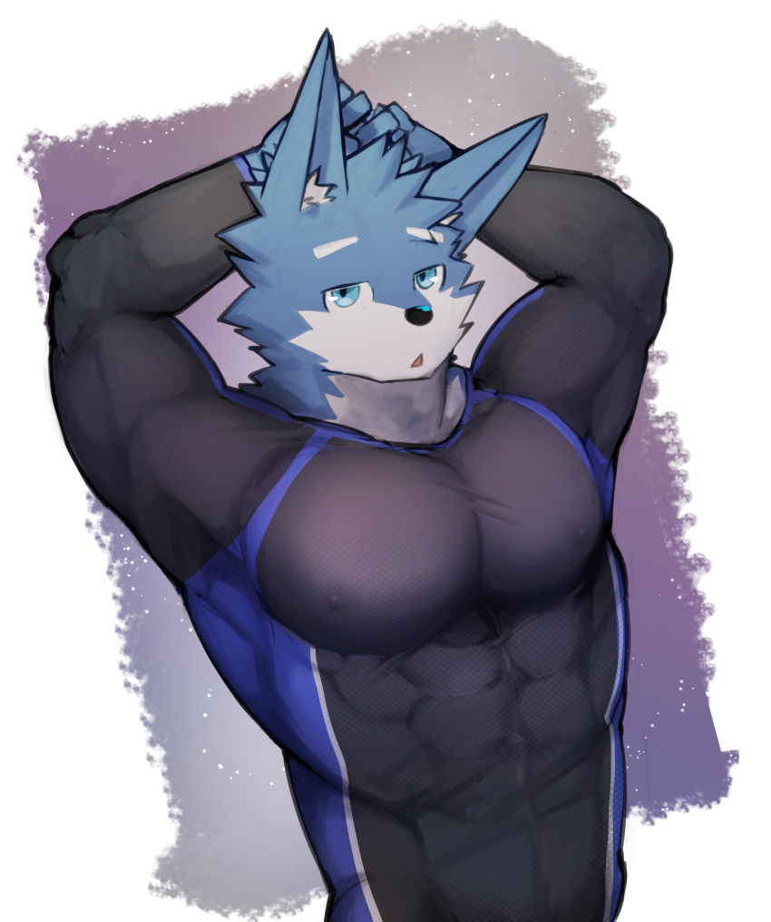 abs absurd_res anthro asleepchef biceps blue_body blue_eyes blue_fur canid canine canis clothing domestic_dog fur hair hi_res hybrid looking_at_viewer male mammal multicolored_body multicolored_fur muscular muscular_male nipple_outline pecs pose shirt simple_background solo spandex_clothing standing topwear two_tone_body two_tone_fur wolf yakumo_(asleepchef)