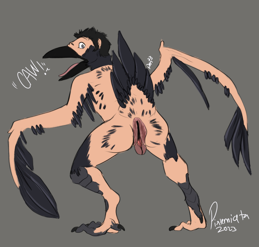 absurd_res animal_genitalia avian bird body_horror butt cloaca corvid corvus_(genus) crow english_text feather_growth feathers genitals growth hi_res human_to_feral looking_at_viewer looking_back male mid_transformation nude open_mouth oscine passerine penis_shrinking penis_to_cloaca_tf pixiemiata_(artist) presenting presenting_hindquarters raised_tail shocked shocked_expression solo species_transformation tail text transformation